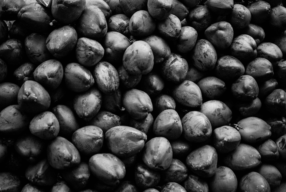 Gallery Image by Rusty Clicks